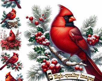 6 Watercolor Christmas Red Cardinal PNG Clipart Set - Holiday Bird Artwork for Winter Cards & Commercial Use