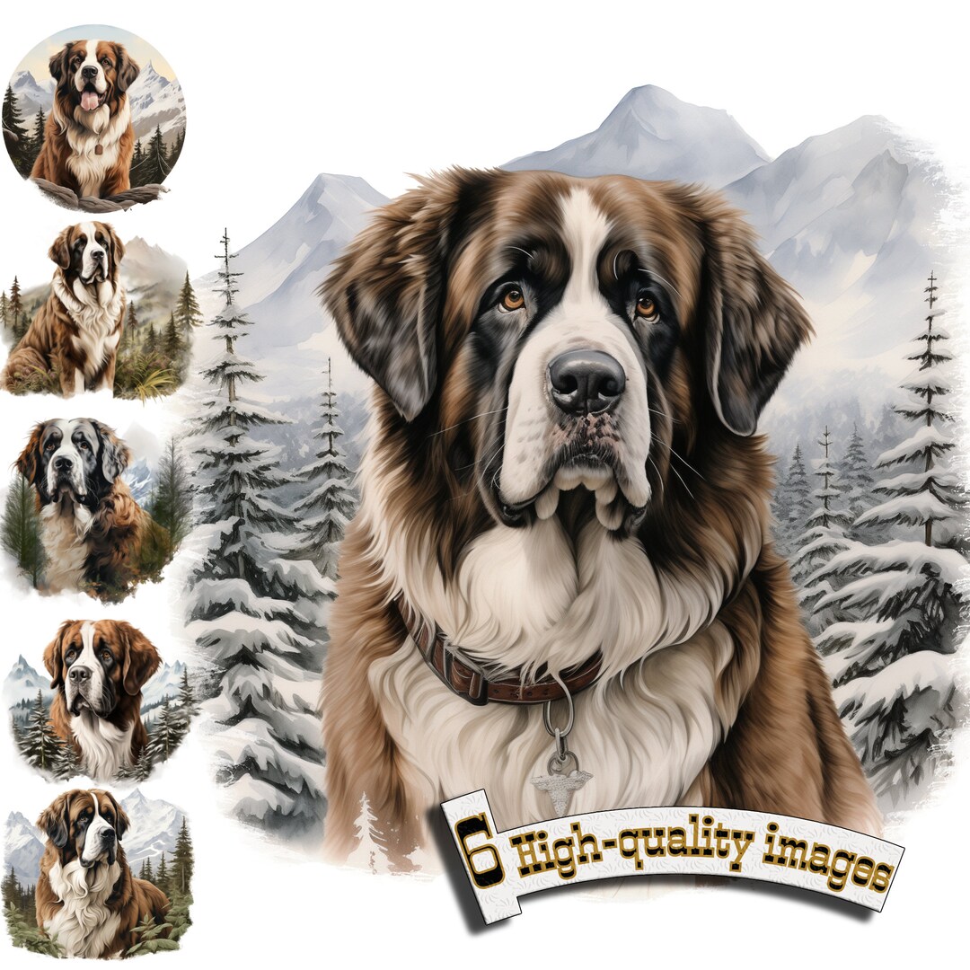 6 St. Bernard Dog, St. Bernard Clipart PNG, St. Bernard Clip Art, Saint