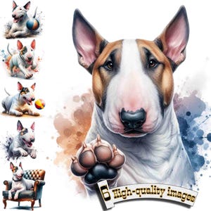 6 Bull Terrier, perro de caza, Bull Terrier Clipart PNG, gráfico digital, descarga instantánea, gráfico de descarga digital,