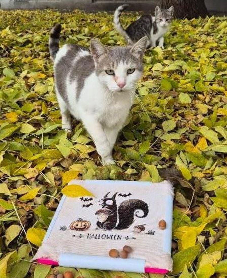 May include: Two cats in a bed of yellow and green leaves. One cat is white and gray, the other is gray and white. A cross-stitch design with a squirrel, pumpkin, and the word "HALLOWEEN" is in the foreground.