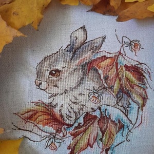 Peut inclure: Une broderie au point de croix repr&eacute;sentant un lapin gris assis parmi des feuilles d'automne color&eacute;es. Le lapin a des yeux bruns et un nez blanc. Les feuilles sont de couleur orange, rouge et jaune.