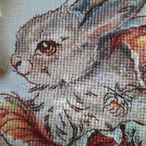 Peut inclure: Gros plan sur une broderie au point de croix d'un lapin brun avec une grande oreille brune. Le lapin porte une robe florale color&eacute;e et a un &oelig;il brun avec un iris dor&eacute;.