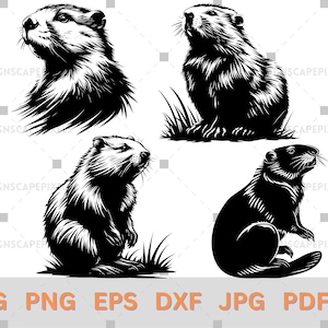 SVG Beaver Silhouette Bundle Beaver Vector File Cricut Cutting File Beaver Clipart PNG Eps Dxf AI Jpg Animal Silhouette Animal vector file