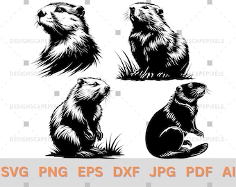 SVG Beaver Silhouette Bundle Beaver Vector File Cricut Cutting File Beaver Clipart PNG Eps Dxf AI Jpg Animal Silhouette Animal vector file
