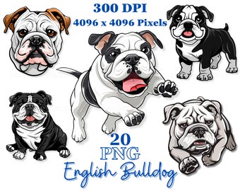 Cartoon English Bulldog Clipart: Dog Breed PNG Bundle (Digital Download)