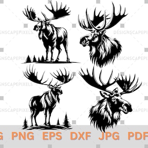 SVG Moose Silhouette Moose head Svg Moose Png Pdf EPS Dxf AI Moose Vector File Alaska Moose Svg Animal Svg Wildlife Moose Bundle Svg