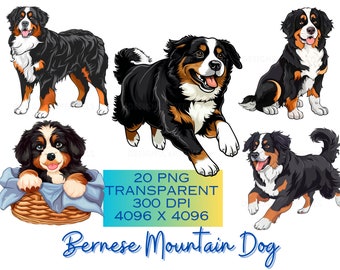 Bernese mountain dog Clipart Cute Bernese mountain dog cartoon art printable design digital PNG Dog design Pet Clipart Dog Clipart Bundle
