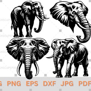 SVG Elephant Bundle Elephant Vector File Elephant Silhouette Elephant Clipart Animal Silhouette Animal Svg Animal Clipart