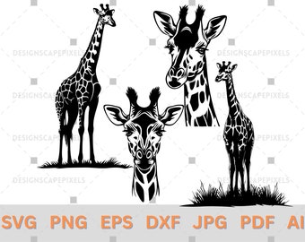 Giraffe Silhouette Vector Bundle (svg, png, pdf, jpg, eps, ai, dxf)