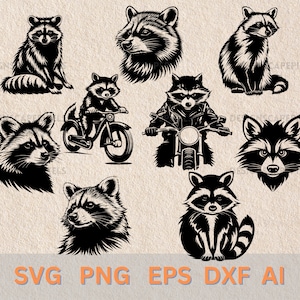 Raccoon SVG Cute Raccoon Svg Raccoon vector file Animal Svg Raccoon Silhouette Cute animal svg Raccoon Clipar