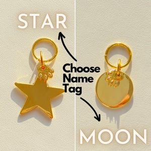 Free Engraved Dog Tag,Double Side Silent Collar Tag,Custom Collar Tag,Personalized Cat Tag,Cat ID Tag,Dog ID Tag,Dog Name Tag,Pet Name Tag