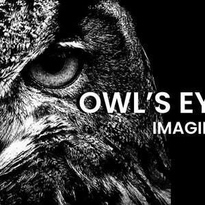 Pode incluir: Close-up de um olho de coruja, com o texto "OWL'S EYE IMAGING" em letras brancas sobre fundo preto.