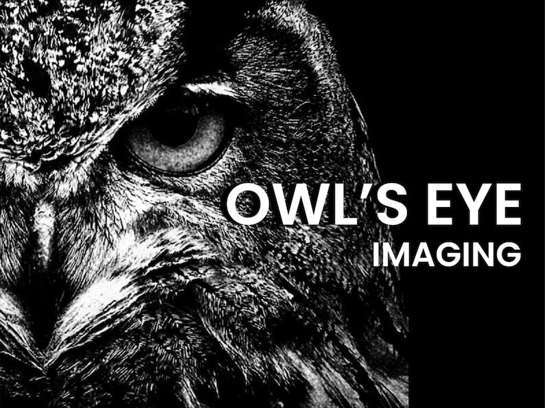 Pode incluir: Close-up de um olho de coruja, com o texto "OWL'S EYE IMAGING" em letras brancas sobre fundo preto.