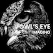 Owls Eye Imaging