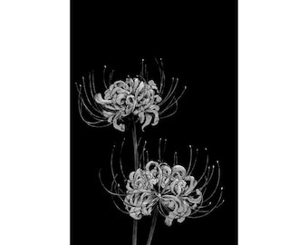Affiche verticale mate anime Spider Lily, impression d'art mural noir et blanc, décoration anime fleur japonaise minimaliste, affiche botanique murale