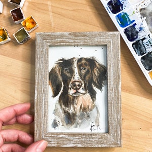 May include: A framed watercolor painting of a brown and white dog with a black nose. The dog is looking directly at the viewer. The painting is in a light brown frame with a whitewashed finish.