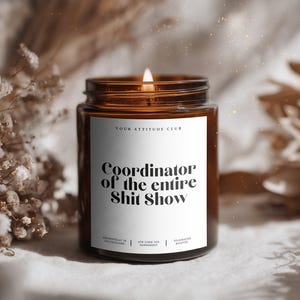 Coordinatrice dell'intero spettacolo di merda – Divertente candela regalo in vetro ambrato • Perfetta per colleghe, fidanzate e manager del caos • Fatta a mano