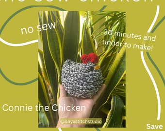 No Sew Connie the Chicken Crochet Pattern