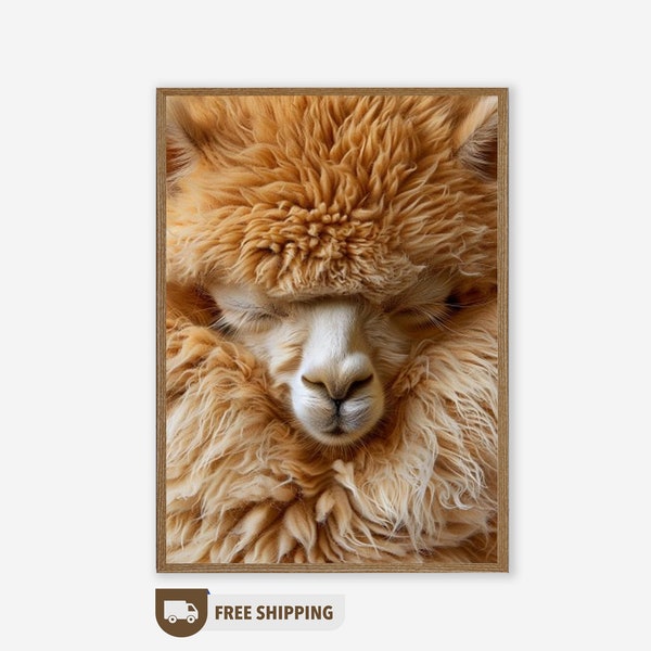 Llama Printable Art, Lily Llama Digital Illustration, Alpaca Alpaca Face Portrait, Lily Llama Artwork, Alpaca Face Poster Farmhouse Wall Art