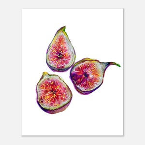 Feige Wand Kunst Druck - Handgezeichnete Buntstift Obst Illustration - stilisierte botanische Fine Art für Küche oder Esszimmer Dekor