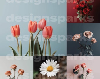 Nothing but Flowers - 42 Stock Images - Etsy