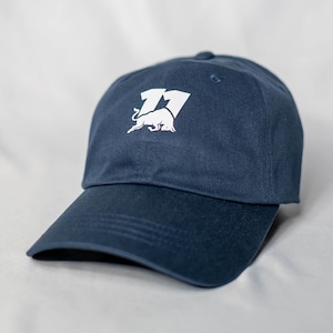 May include: A navy blue baseball cap with a white embroidered logo featuring a bull and the number 17.