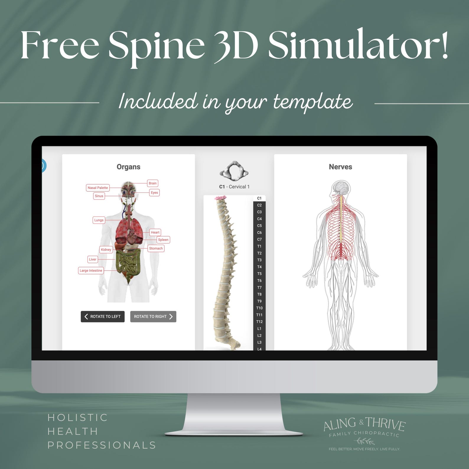 Wix Website Template Chiropractor and Health Professionals Etsy