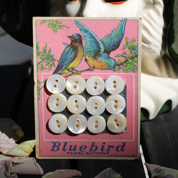 1920s Bluebird Pearl Buttons