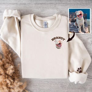 Custom Dog Portrait Sweatshirt, Personalized Pet Face and Pet name Sweatshirt, Cat Sweatshirt, Personalized Pet Portrait Shirt, Custom gift