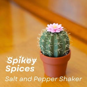 Spikey Spices | Cactus Salt & Pepper Shaker Set