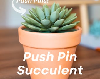 Push Pin Suculento / House Plant Push Pin Holder / Decoración de oficina / Decoración del hogar / Organizador de escritorio