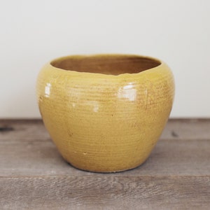 May include: A yellow ceramic planter with a rounded shape and a smooth, glossy finish.