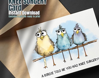 May include: A greeting card with a humorous illustration of three birds on a branch. One bird has a bandage on its leg. The text on the card reads "A birdie told me you had knee surgery!"