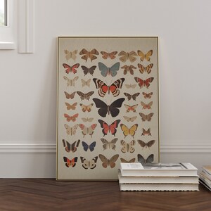 Butterfly Poster | Vintage Butterfly Illustration Print | Eclectic Wall Art