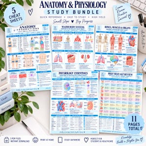 Peut inclure: Un ensemble d'étude d'anatomie et de physiologie comprenant cinq fiches de révision avec des schémas médicaux détaillés, des illustrations anatomiques et du texte. Les fiches couvrent les systèmes corporels, les os, les muscles et les organes.