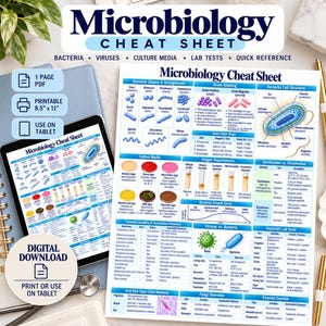 Mikrobiologi fusklapp | Bakterier, virus, laboratorietester (PDF-nedladdning)
