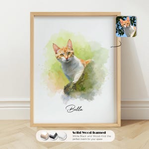 K&ouml;nnte beinhalten: Ein Aquarellbild eines Katers namens Bella. Der Kater ist orange und wei&szlig; und sitzt auf einem Ast. Der Hintergrund ist ein weicher gr&uuml;n-gelber Aquarell-Wasch.