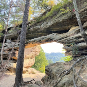 Doppelbogen Red River Gorge Kentucky