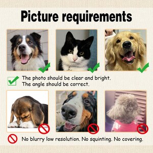 May include: An instructional graphic titled Picture requirements featuring six square photos of pets. The top row shows three clear, well-lit animal portraits marked with green checkmarks. The bottom row displays three poor-quality photos marked with red prohibition symbols. Text below reads: The photo should be clear and bright. The angle should be correct. No blurry low resolution. No squinting. No covering.