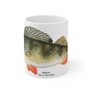 PERCH Perca fluviatilis fish MUG ideal gift for fisherman fishing angler fisherwoman Other fish species available see my other listings.