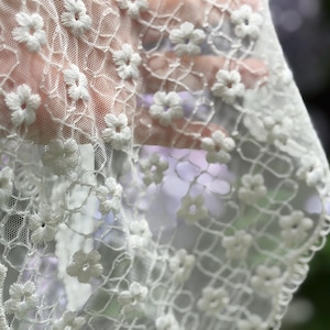 May include: Close-up of white lace fabric with embroidered floral details. The delicate lace features small, three-dimensional flowers and a scalloped edge. The fabric is semi-transparent, allowing a glimpse of the background.