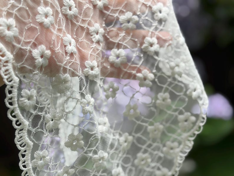 May include: Close-up of white lace fabric with embroidered floral details. The delicate lace features small, three-dimensional flowers and a scalloped edge. The fabric is semi-transparent, allowing a glimpse of the background.