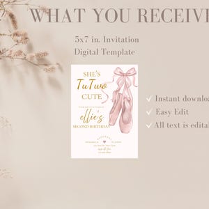 She’s tuTWO cute birthday party invitation,tutu birthday invite,Ballerina birthday party invitation,second birthday invite,EDITABLE template image 5