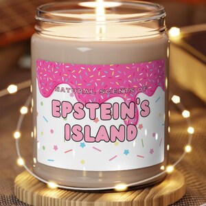 Epstein's Island Candle Funny Parody Candle Funny Meme Candle Scented Soy Candle, 9oz image 1