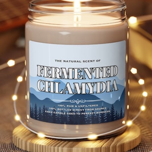 Meme Candle Parody Funny Gift Candle Gag Gift Scented Soy Candle, 9oz