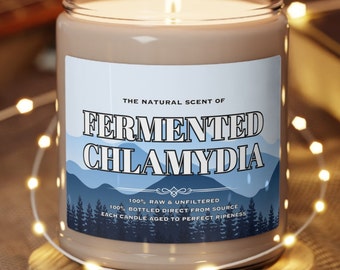 Meme Candle Parody Funny Gift Candle Gag Gift Scented Soy Candle, 9oz