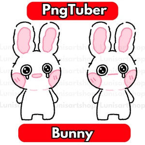 Bunny PNGTuber, Cute Kawaii PNGTuber For Twitch and YouTube Stream, Ready to Use PNGTuber