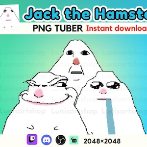 Jack the Hamster PNG tuber, Cute Kawaii Streamer Avatar for Twitch Discord YouTube, Ready to Use Digital