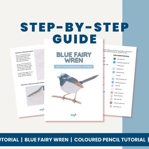 May include: A step-by-step guide for drawing a blue fairy wren using coloured pencils. The guide includes a colour chart with the names and numbers of the pencils used.