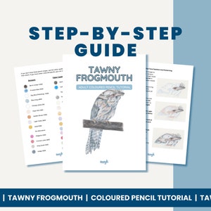Tawny Frogmouth Step by Step Coloured Pencil Tutorial | Faber Castell Polychromos + Derwent Pencils | Drawing Tutorial for iPad or Print